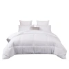 Hotel quilt core, hotel whole feather velvet quilt, hotel special cotton quilt core, thickened all-season quilt, factory direct sales Item Picture